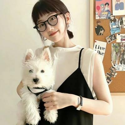 小犬与女孩